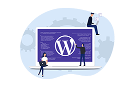 Premier wordpress plan