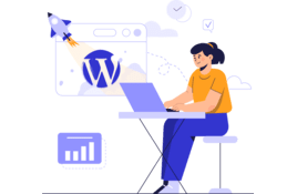 Plus wordpress plan